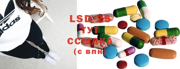 ГАЛЛЮЦИНОГЕННЫЕ ГРИБЫ Балабаново