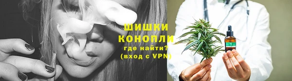 ГАЛЛЮЦИНОГЕННЫЕ ГРИБЫ Балабаново
