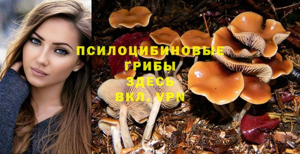 MESCALINE Баксан