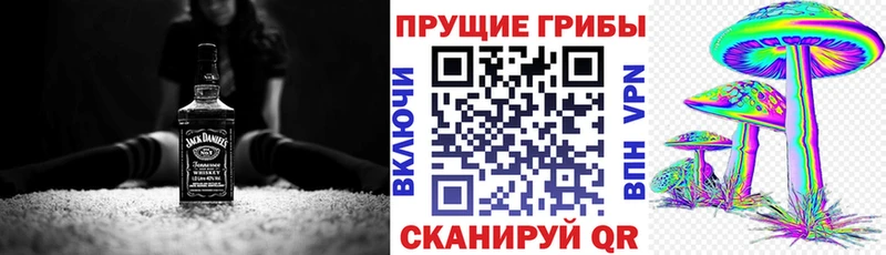 цена наркотик  Невельск  Псилоцибиновые грибы ЛСД 